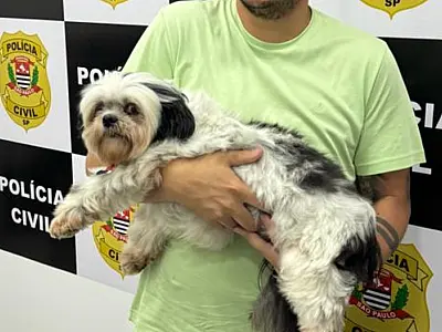 Polícia resgata cão vítima de maus tratos na cidade de Praia Grande