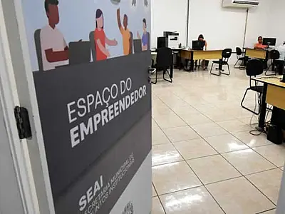 MEI: Declaração Anual do Simples Nacional já pode ser enviada para a Receita Federal