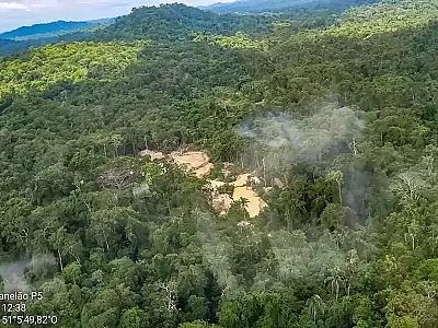 Comissão do Senado aprova porte de arma a agentes da Funai