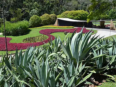Acervo de Burle Marx irá para Casa Cavanelas, joia modernista de Niemeyer