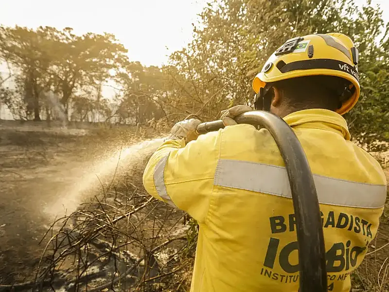 Mais de 17,3 milhões de hectares foram queimados em 2023 no país