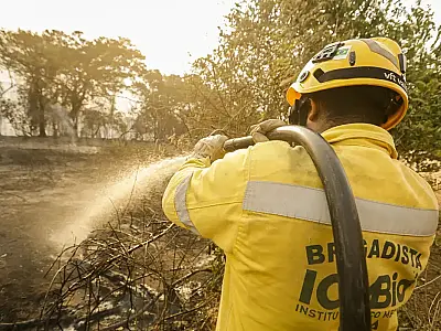 Mais de 17,3 milhões de hectares foram queimados em 2023 no país