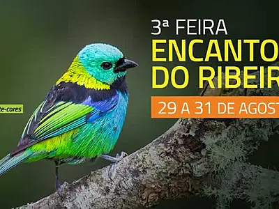 Sebrae-SP e Prefeitura de Registro realizam 3ª Feira Encantos do Ribeira