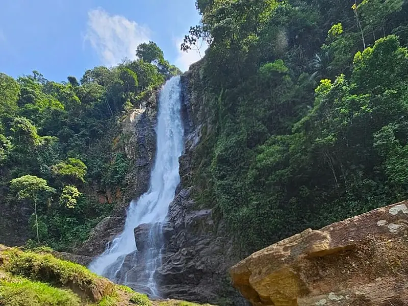Cubatão se consolida como referência mundial e é novamente reconhecida como "Cidade Verde do Mundo"
