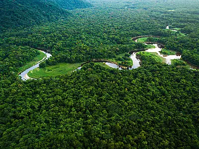 Mais de 8 mil pessoas foram assassinadas na Amazônia Legal em 2022