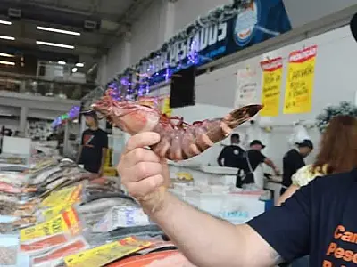 Permissionários do Mercado de Peixes de Santos reforçam atendimento para vendas do Ano-Novo