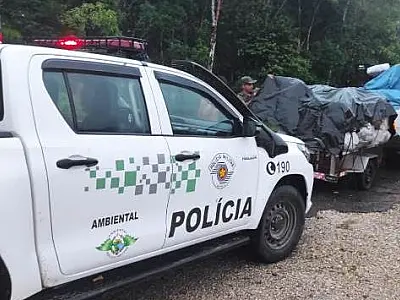 Policia Ambiental flagra transporte ilegal de uma tonelada de carvão