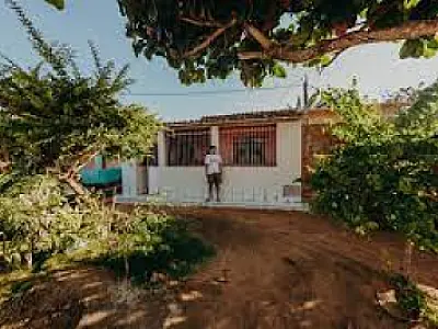 De comunidade com conexão precária, jovem cria aplicativos sobre biomas