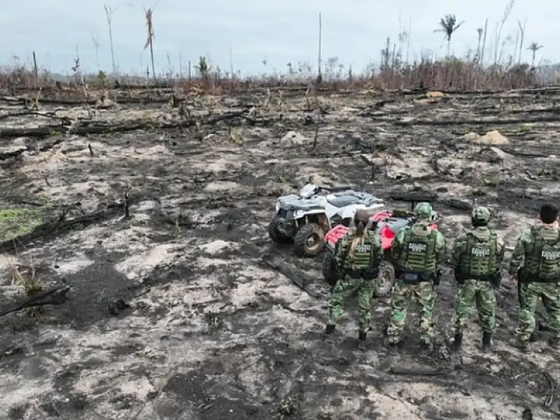 Operação Incêndios 2025: Polícia Federal lança ação integrada contra queimadas e crimes ambientais