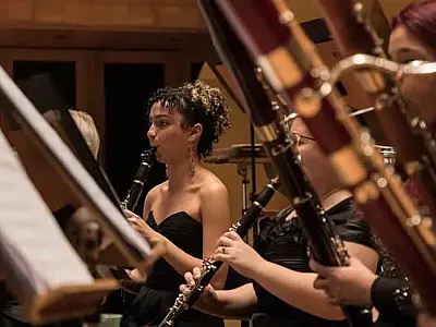 Inscrições para Orquestra Parassinfônica de São Paulo encerram neste sábado (16)
