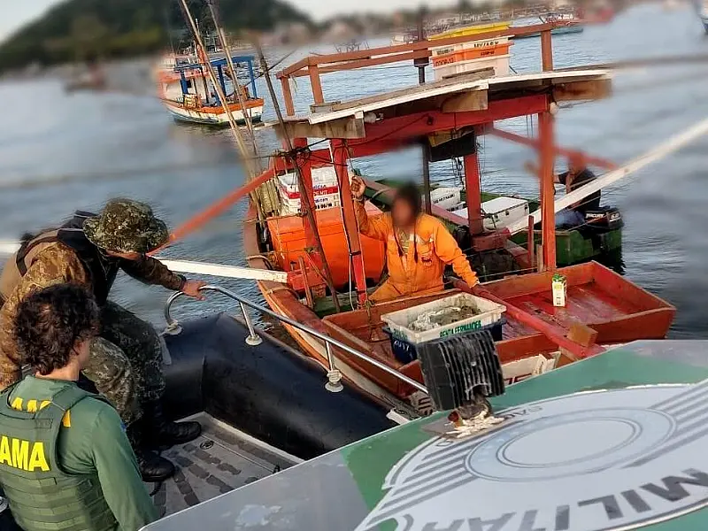 PM Ambiental Marítima flagra pesca irregular e apreende 140 kg de camarão em Guarujá