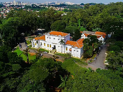 Instituto Butantan começa a desenvolver vacina contra gripe aviária