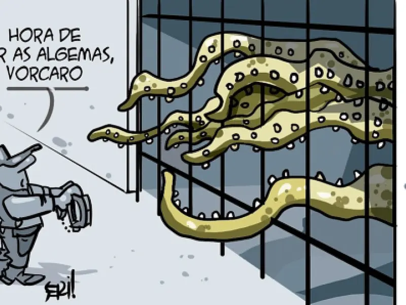 Charge do Dia