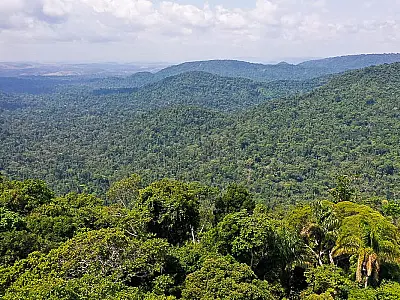 Amazônia é um dos focos da ONU para a Agenda 2030