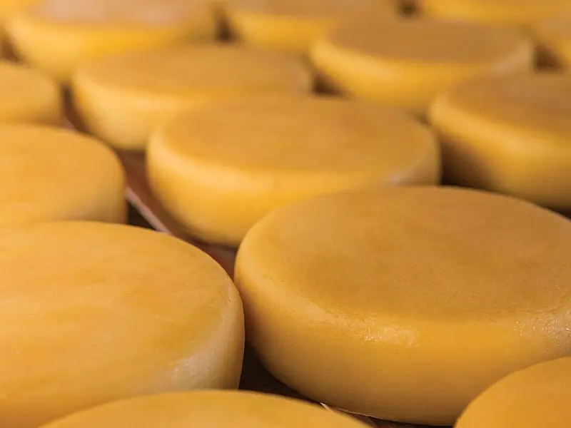 Saiba o que pode e o que não pode ter no queijo, o frio favorito de paulistanos e cariocas