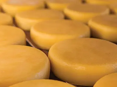 Saiba o que pode e o que não pode ter no queijo, o frio favorito de paulistanos e cariocas