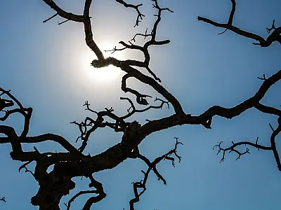Brasil registra recorde da temperatura média pelo quarto mês seguido