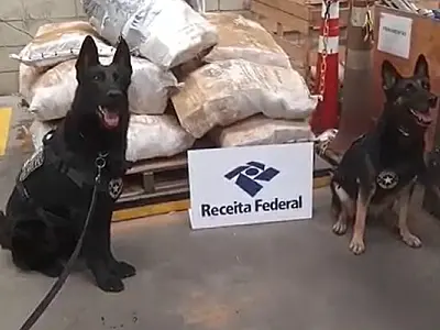 Veja o vídeo: operação da Receita apreende mais de uma tonelada de cocaína no Porto de Santos