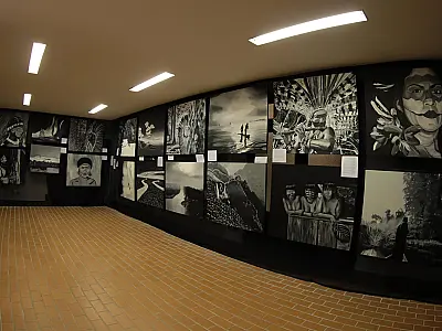 Orquidário de Santos abre exposição com releitura das fotos de Sebastião Salgado