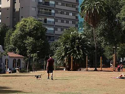 Em SP, Virada Sustentável 2023 abre edital para projetos