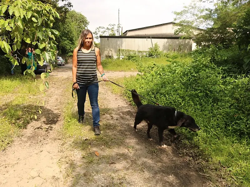 Tutores de animais podem se inscrever para receber doações do banco de rações