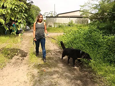 Tutores de animais podem se inscrever para receber doações do banco de rações