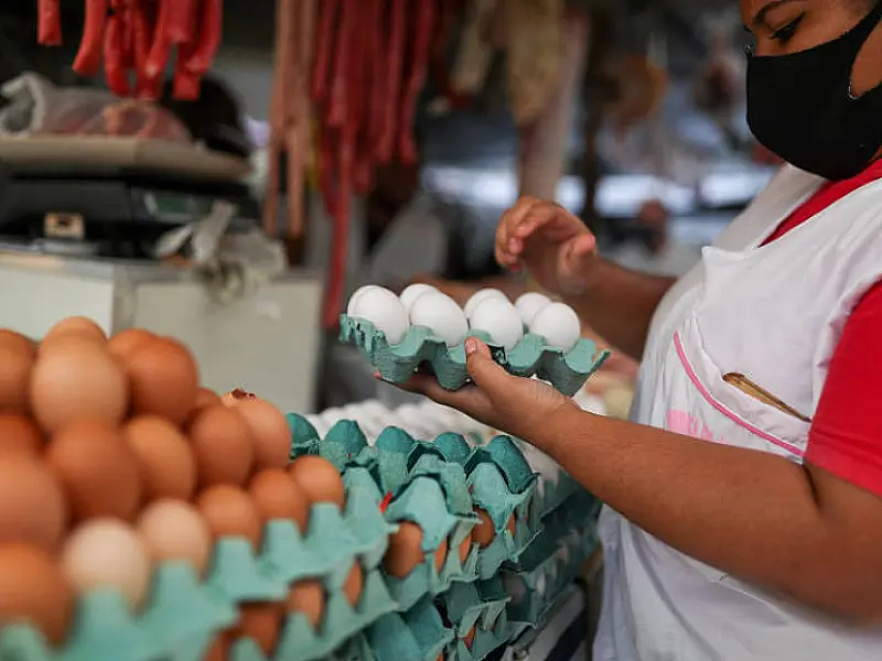 Produção de ovos bate novo recorde, e leite cai a menor nível em quatro anos