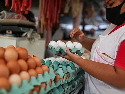 Produção de ovos bate novo recorde, e leite cai a menor nível em quatro anos