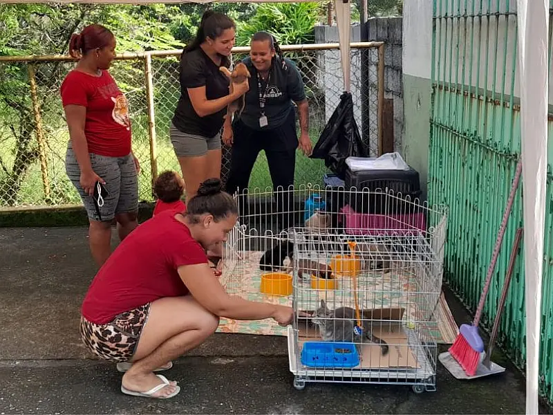 Veterinário nos Bairros realiza mais de 130 atendimentos no Samaritá