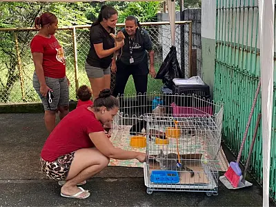 Veterinário nos Bairros realiza mais de 130 atendimentos no Samaritá