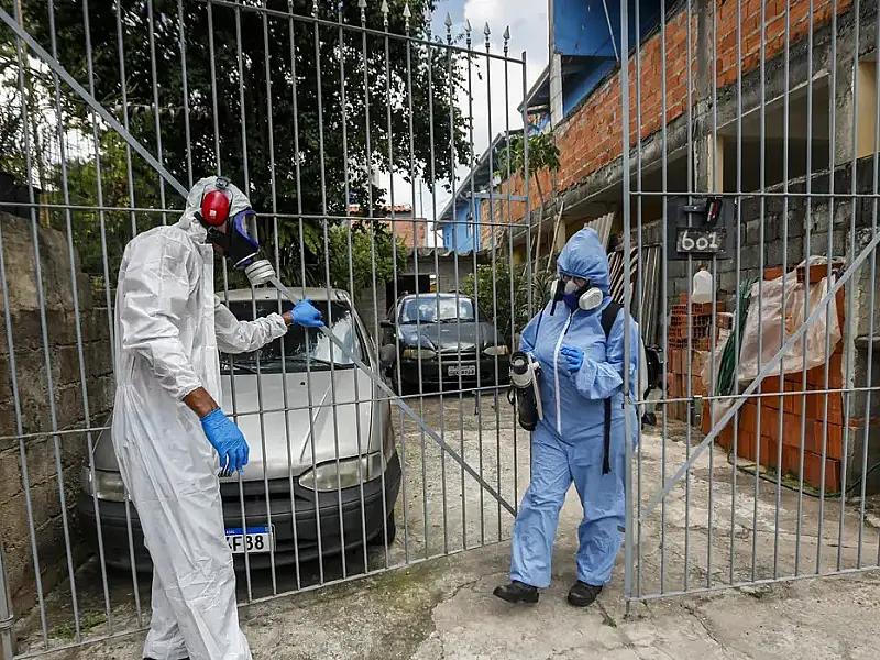 Capital paulista está perto de atingir índice epidêmico de dengue