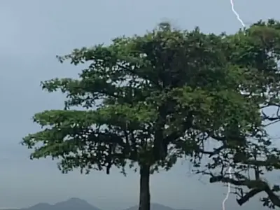 Homem faz registro do momento em que raio cai próximo de banhistas na praia da Aparecida, em Santos