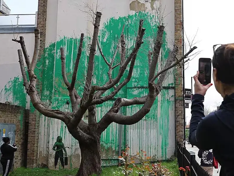 Banksy faz mural com árvore em Londres e provoca sobre exploração da natureza