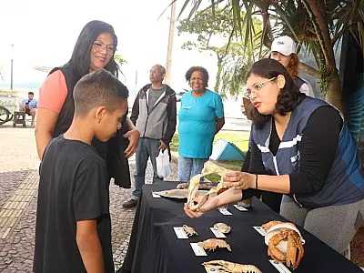 Aquário de Santos promove atividades virtuais e presenciais para toda família em dezembro