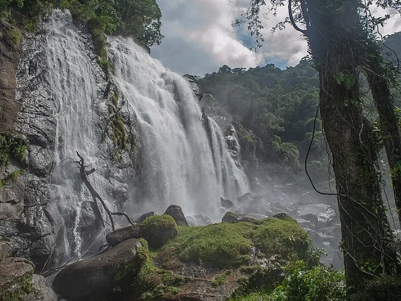 Fundação florestal inicia projeto para minimizar impacto ambiental em atrativos naturais de SP