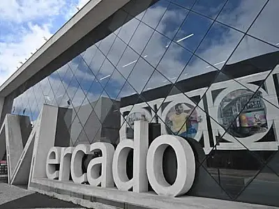 Novo Mercado de Peixes em Santos celebra cinco anos de funcionamento