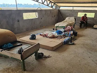 Operação conjunta resgata 532 trabalhadores em condição de escravidão
