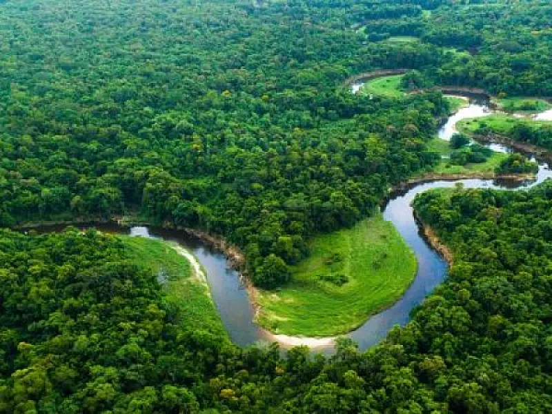 Edital destina R$1,8 milhão para projetos de base comunitária na Mata Atlântica