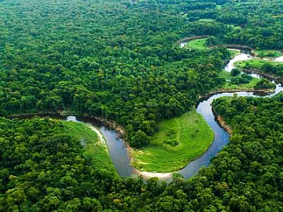 Edital destina R$1,8 milhão para projetos de base comunitária na Mata Atlântica
