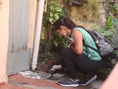 Mutirão contra o Aedes elimina 62 focos com larvas no Macuco, em Santos