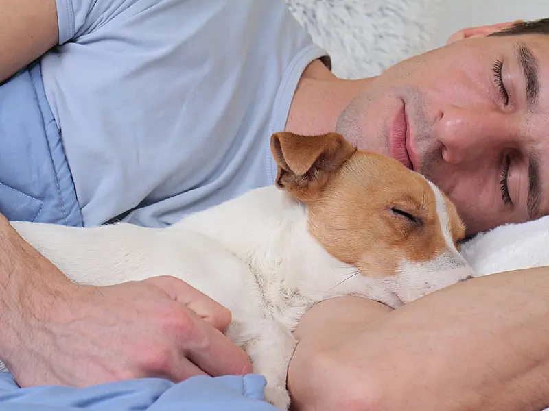 Afinal, dormir com animal de estimação faz mal ou não para a saúde?