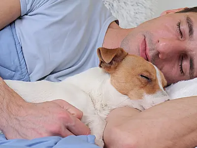 Afinal, dormir com animal de estimação faz mal ou não para a saúde?