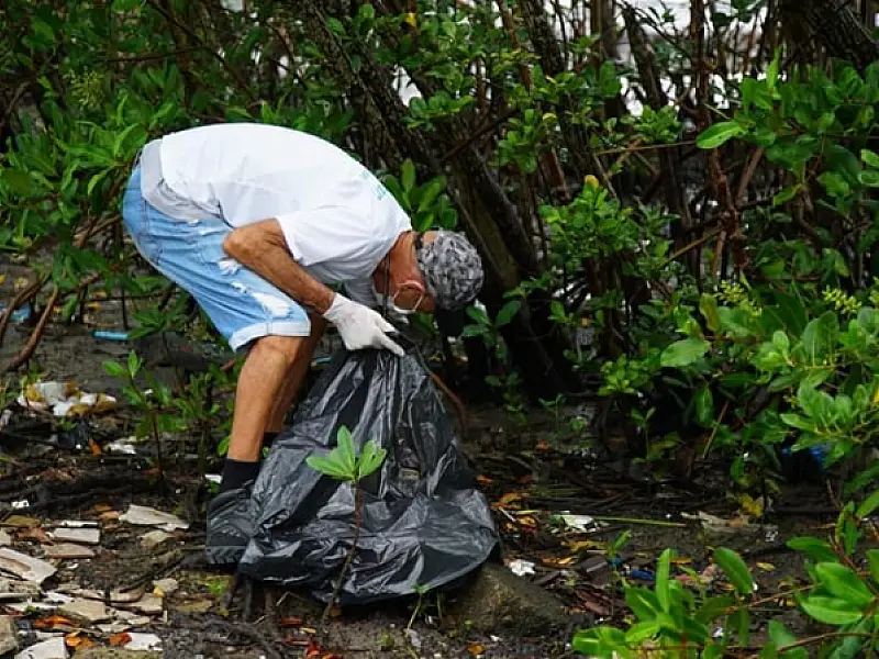 Blindando a natureza: São Vicente recebe 1ª Virada Sustentável de 2025