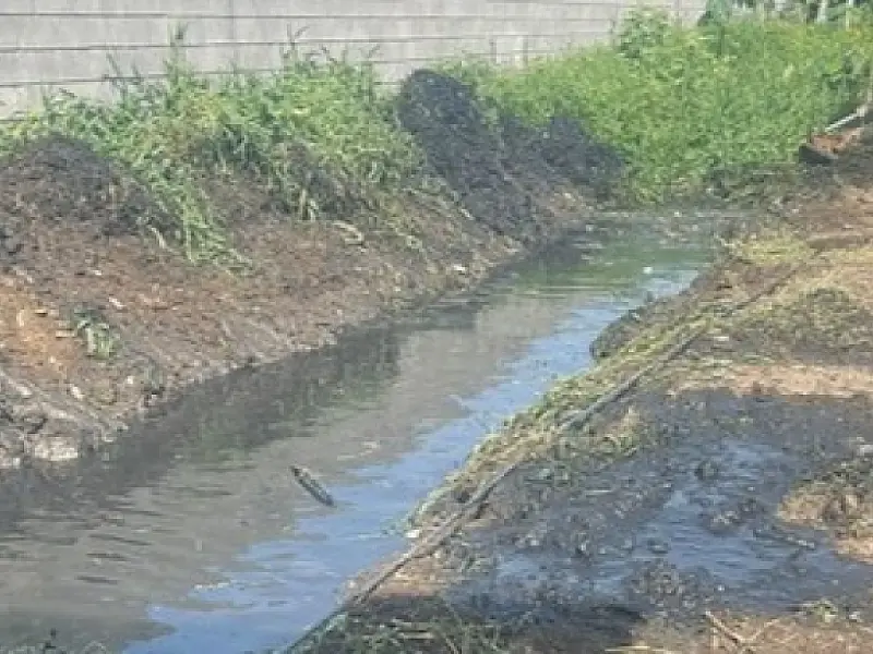 Serviço e Zeladoria: Prefeitura do Guarujá desobstrui canal na Comunidade Aldeia