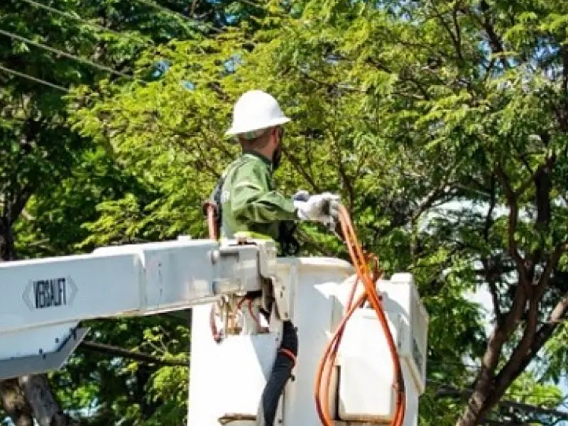 Concessionária registra mais de 3 mil casos de furto de cabos da rede elétrica na Baixada Santista