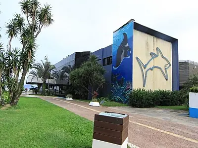 Aquário de Santos promove curso de férias com atividades presenciais e virtuais