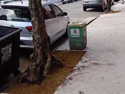 Plantio de árvores finaliza obras de mobilidade em rua de Santos