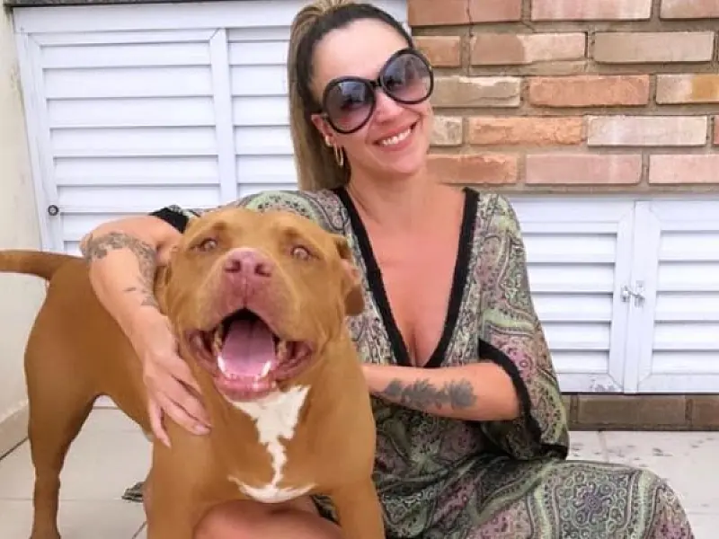 Fim da agonia: após quase cinco dias, pit bull Apolo é encontrado por guardas portuários