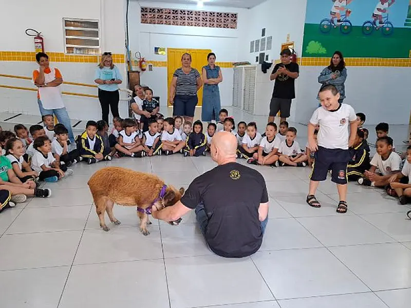 Porquinha Adalgysa visita creche em São Vicente e encanta crianças
