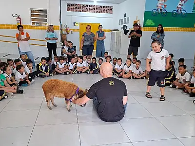 Porquinha Adalgysa visita creche em São Vicente e encanta crianças